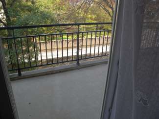 DSCN0617.JPG